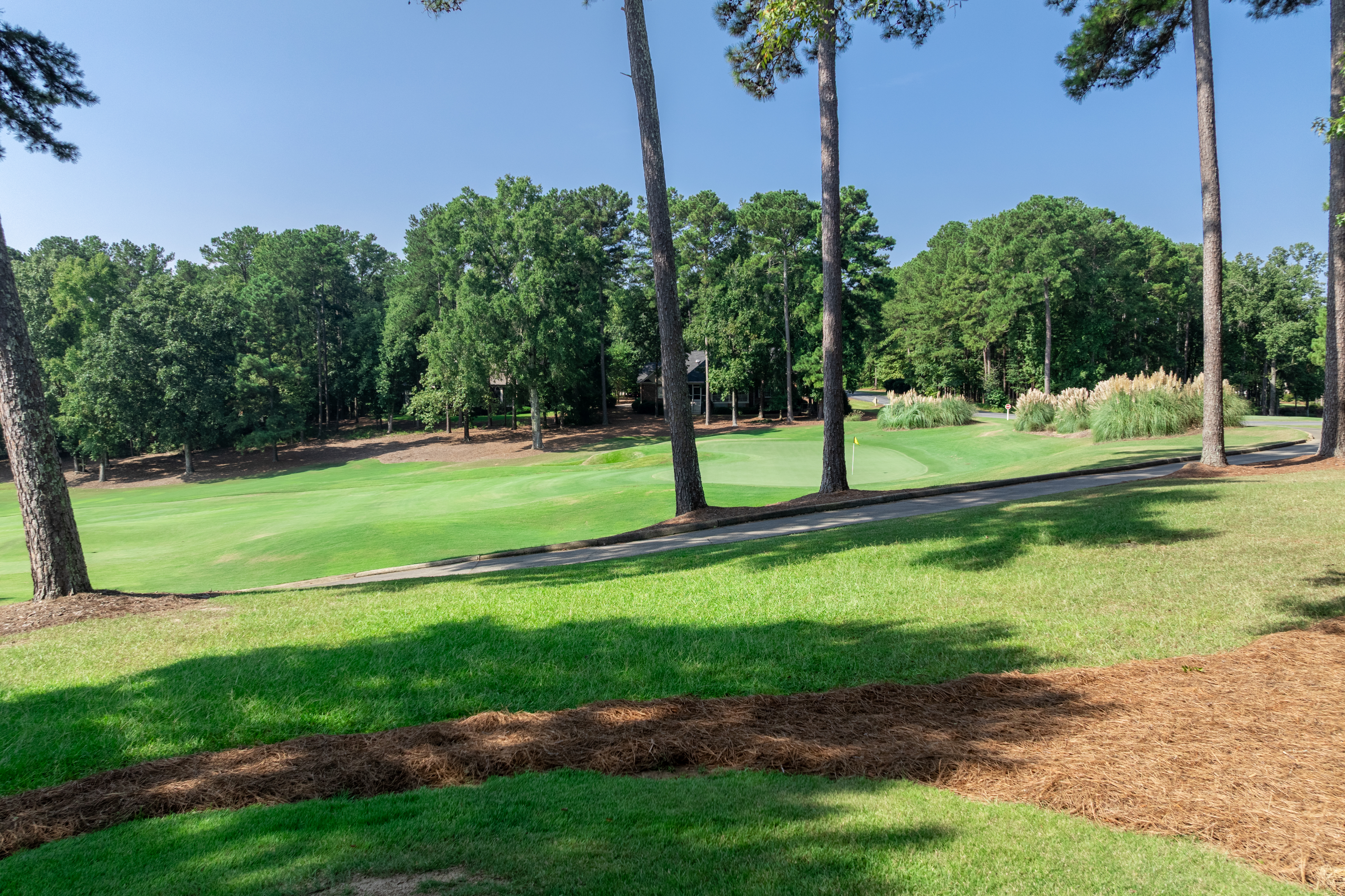 1140 Fairway Ridge Circle image 3